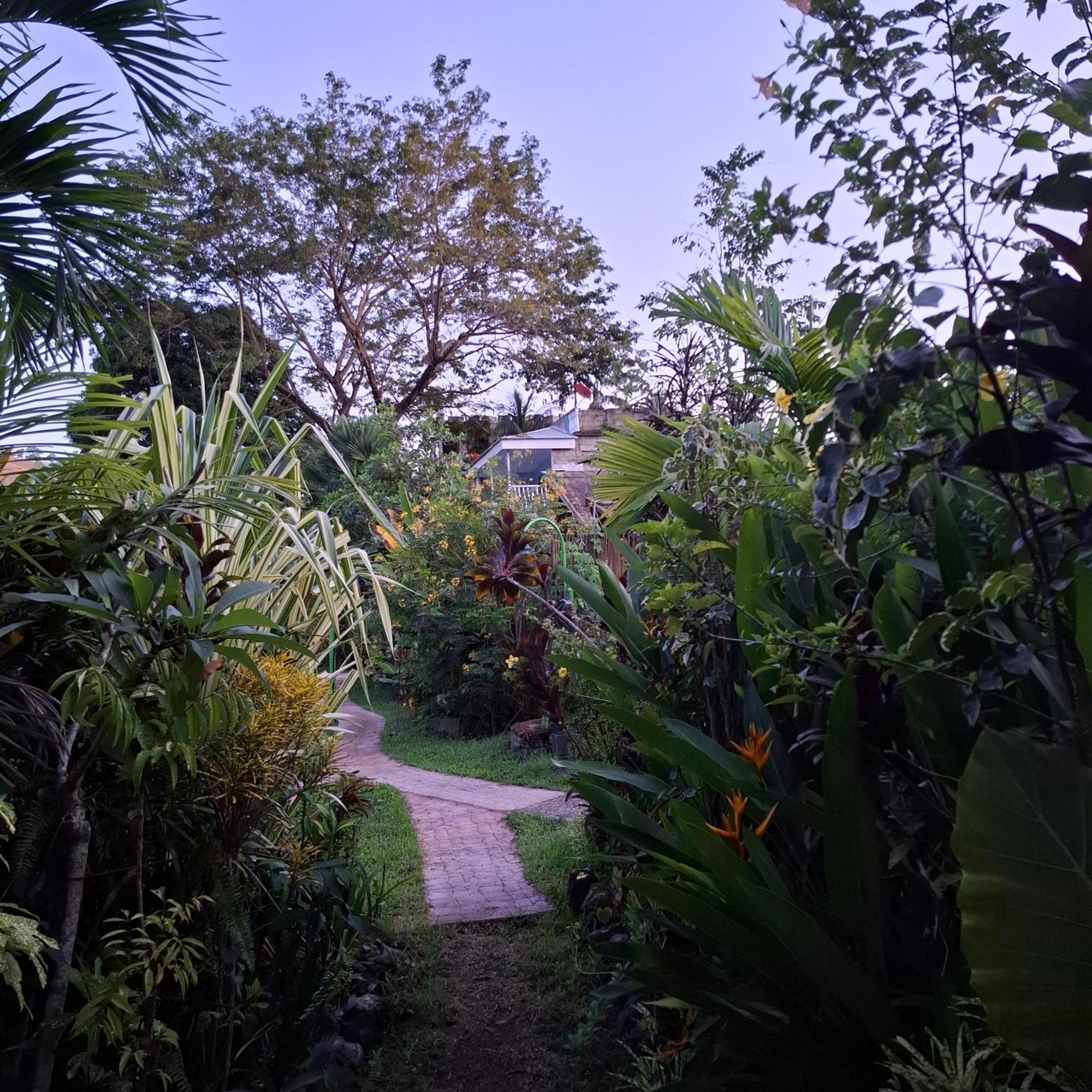Kokosnuss Garden Resort Coron Zewnętrze zdjęcie